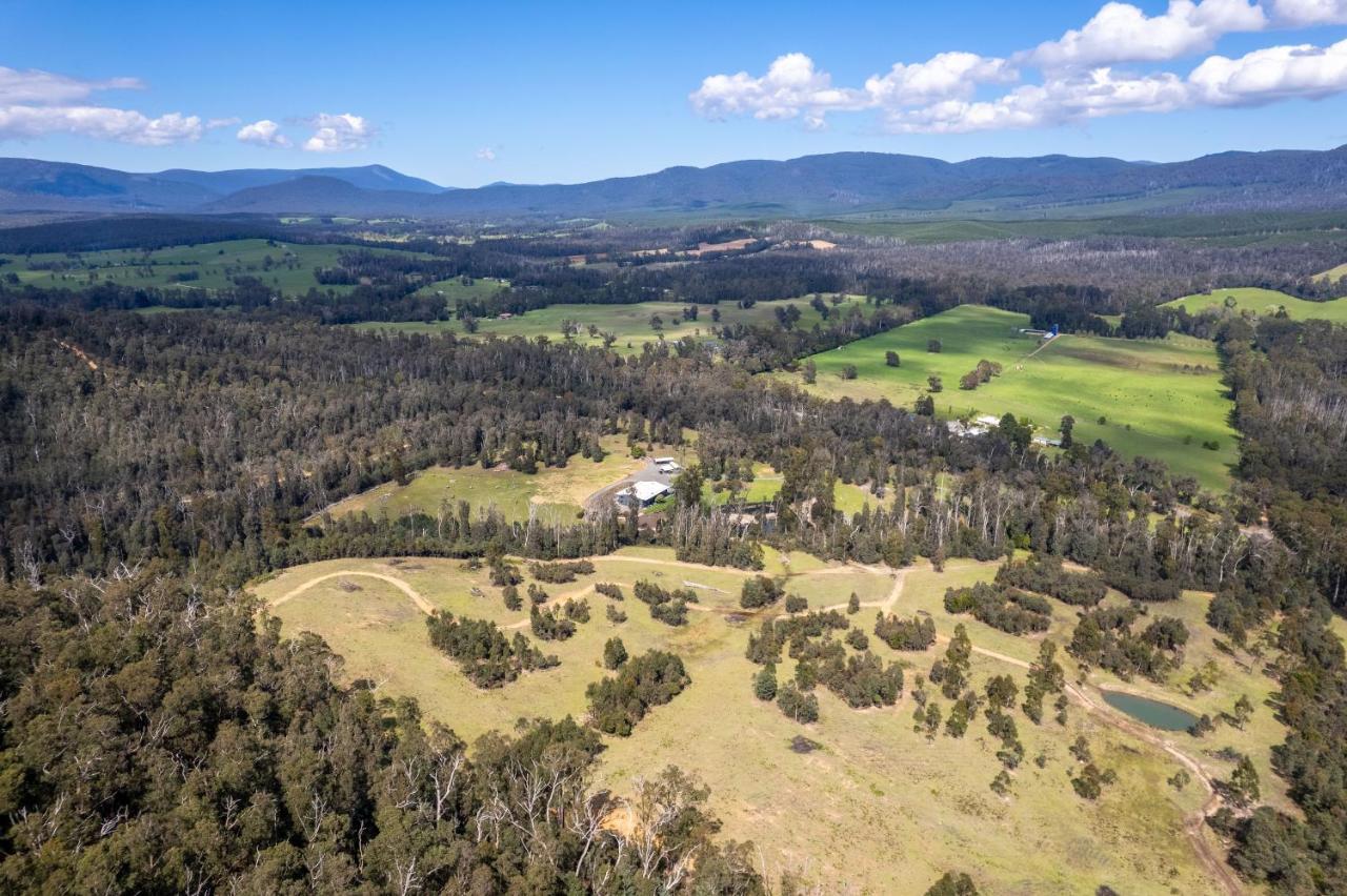 Saladin Lodge Narbethong Εξωτερικό φωτογραφία