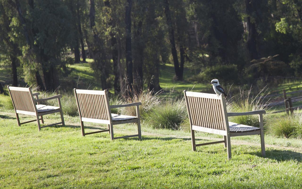 Saladin Lodge Narbethong Εξωτερικό φωτογραφία