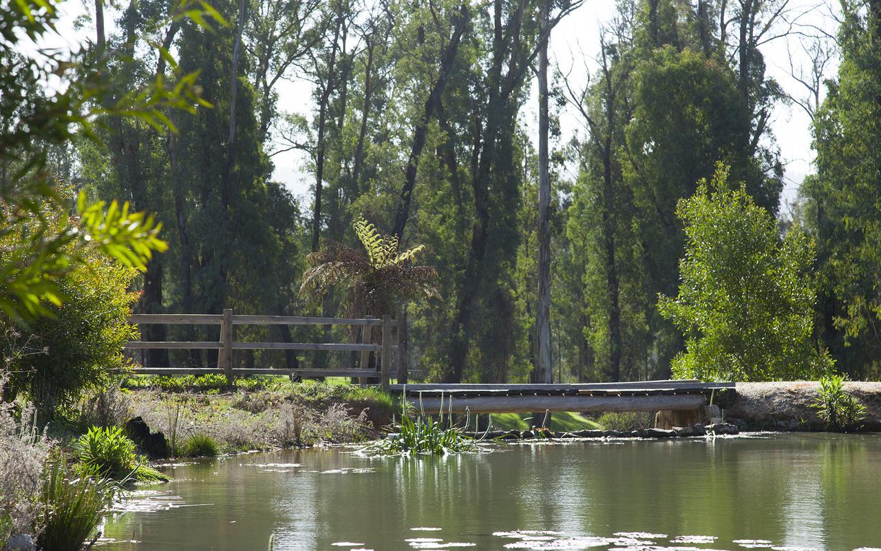 Saladin Lodge Narbethong Εξωτερικό φωτογραφία