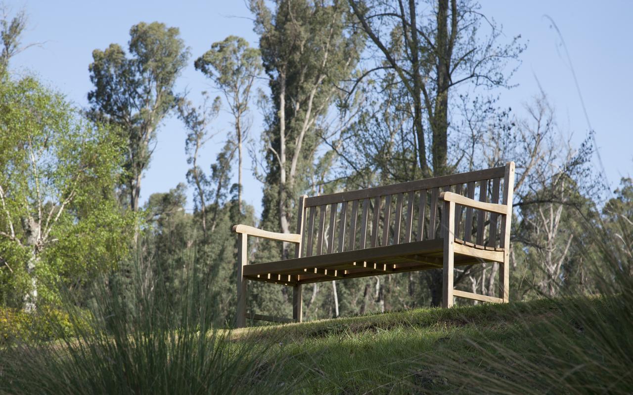 Saladin Lodge Narbethong Εξωτερικό φωτογραφία