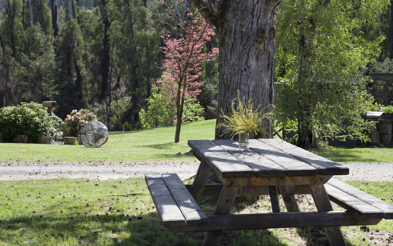 Saladin Lodge Narbethong Εξωτερικό φωτογραφία