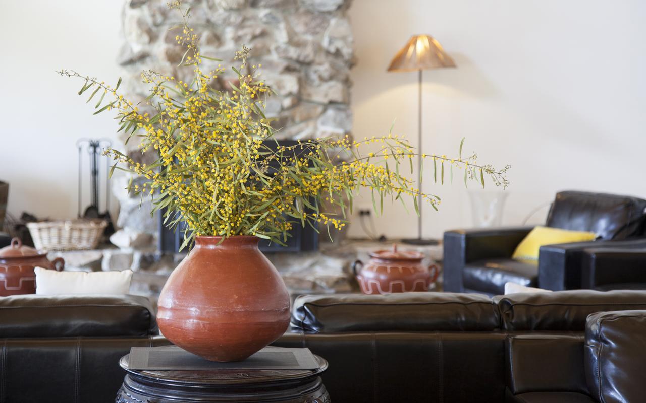 Saladin Lodge Narbethong Εξωτερικό φωτογραφία