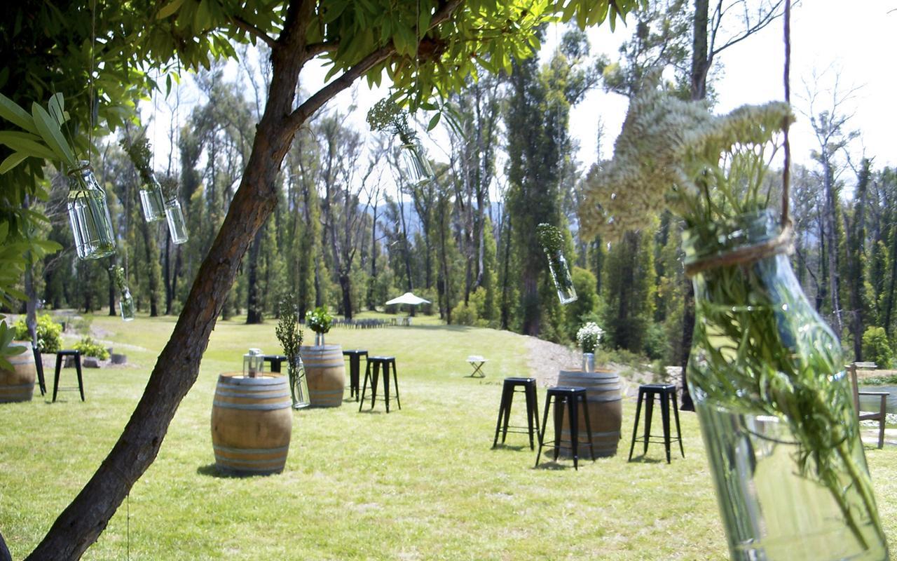 Saladin Lodge Narbethong Εξωτερικό φωτογραφία