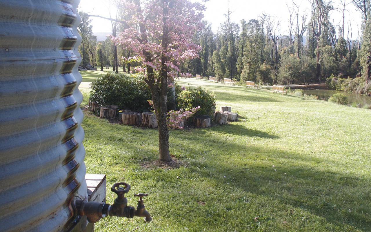 Saladin Lodge Narbethong Εξωτερικό φωτογραφία